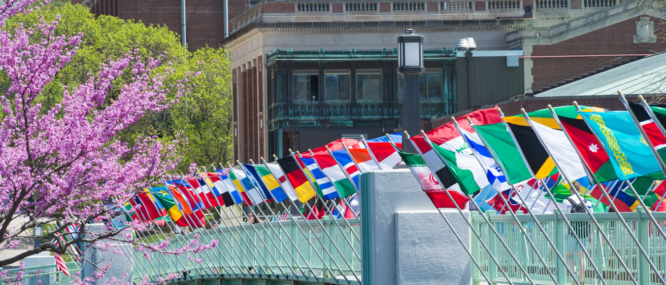 IMU with World Flags