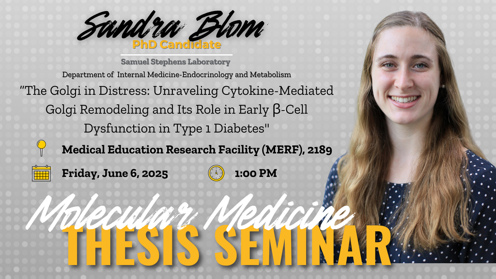Molecular Medicine Interdisciplinary Program Thesis Defense Seminar: Sandra Blom promotional image